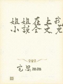 姐姐在上我在下小说全文免费阅读