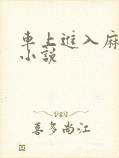 车上进入麻麻的小说