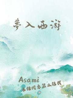 梦入西游