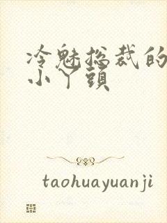 冷魅总裁的纯纯小丫头