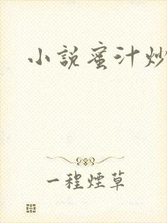 小说蜜汁炒鱿鱼