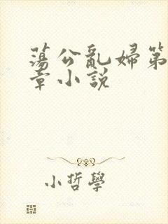 荡公乱妇第51章小说