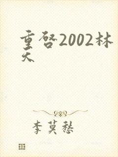 重启2002林天
