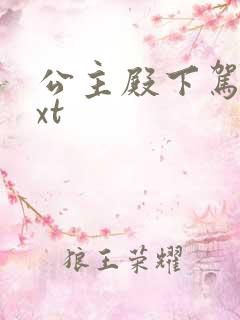 公主殿下驾到txt