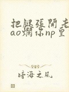 把腿张开老子cao烂你np皇宫