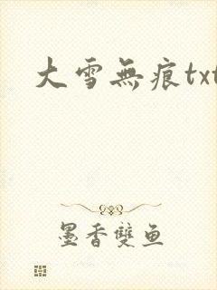大雪无痕txt