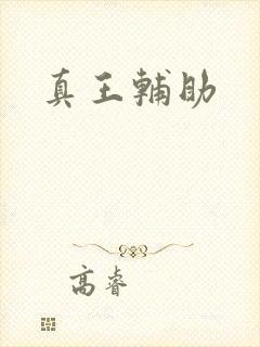 真王辅助