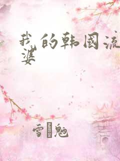 我的韩国流氓老婆