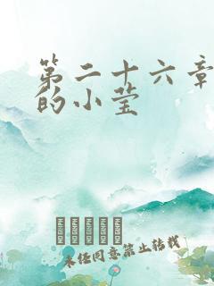 第二十六章满足的小莹