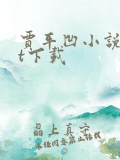 贾平凹小说txt下载