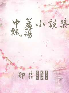 中篇小说集随风飘荡