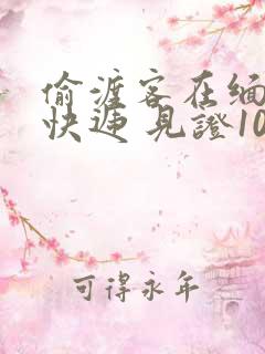 偷渡客在缅北送快递 见证100种逃亡