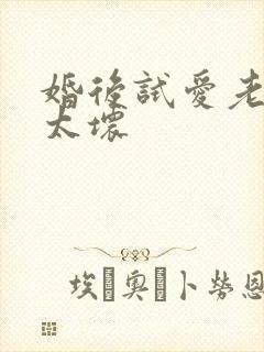 婚后试爱老公别太坏