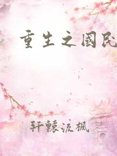 重生之国民老公