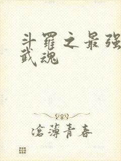 斗罗之最强治疗武魂