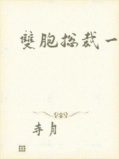 双胞总裁一个妻