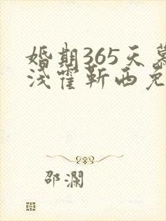 婚期365天慕浅霍靳西免费阅读