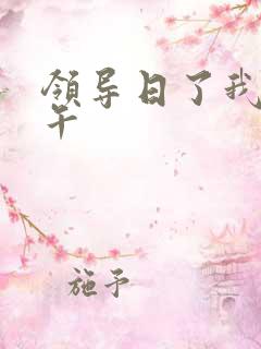 领导日了我一下午