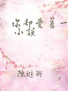 你却爱着一个他 小说