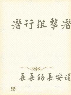 潜行狙击潜罪犯