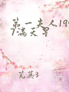 第一夫人1997满天星