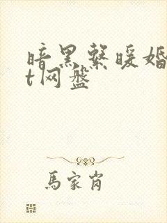 暗黑系暖婚txt网盘