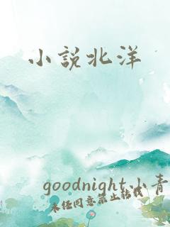 小说北洋