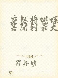 突然将蝴蝶遥控器开到最大