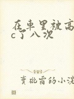 在车里被高潮被c了八次