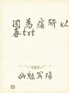 因为痛所以叫青春txt