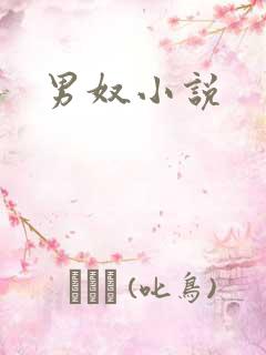男奴小说