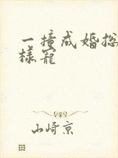 一撞成婚总裁花样宠