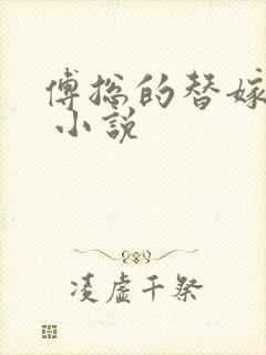 傅总的替嫁娇妻 小说