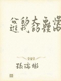 公的大龟慢慢挺进我的体内