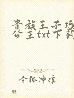 贵族王子巧遇穷公主txt下载