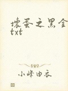 坏蛋之黑金帝国txt