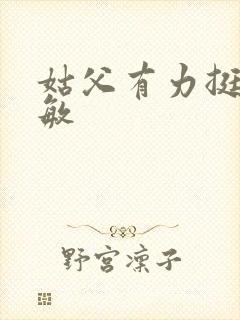 姑父有力挺送赵敏