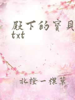 殿下的宝贝公主txt