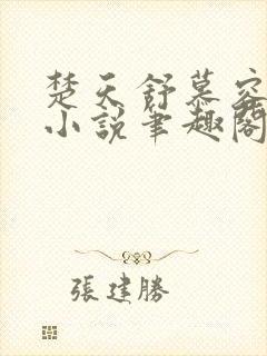 楚天舒慕容江月小说笔趣阁