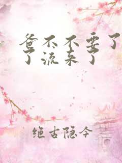 爸不不要了太满了流来了