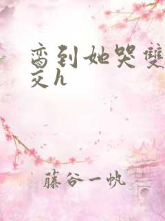 脔到她哭双根宫交h