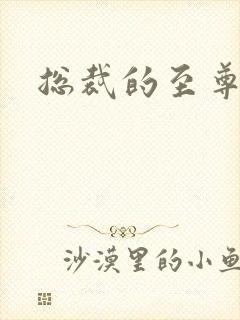 总裁的至尊前妻