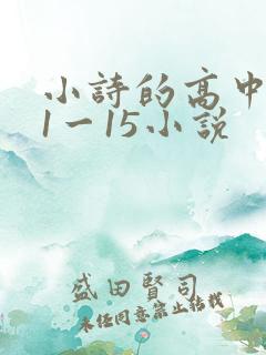小诗的高中日记1一15小说