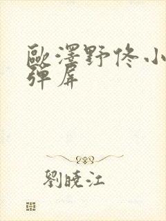 欧泽野佟小曼无弹屏