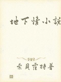 地下情小说