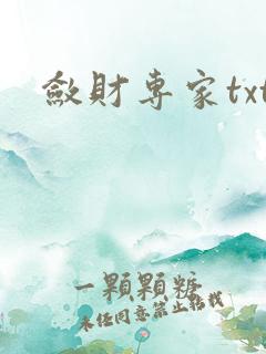 敛财专家txt