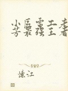 小区电工老周刘芳最强王者