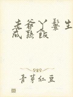 老爷丫鬟生米煮成熟饭