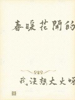 春暖花开的小说