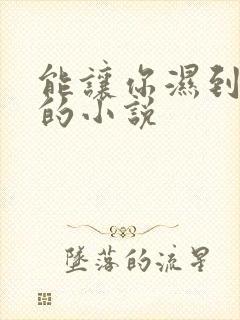 能让你湿到不行的小说